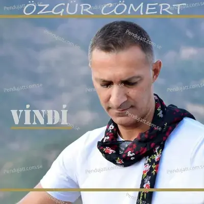 Vindi - Özgür Cömert album cover 