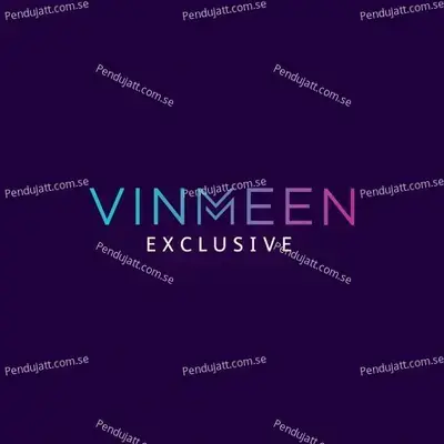 Vinmeen Exclusive - Various Artists cover album