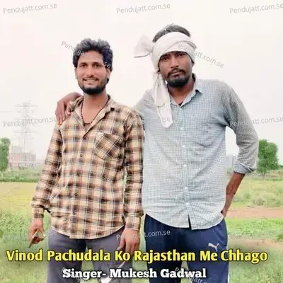 Vinod Pachudala Ko Rajasthan Me Chhago - Mukesh Gadwal album cover 