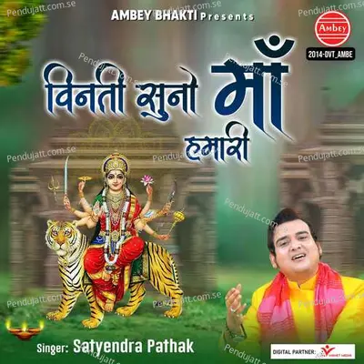 Vinti Suno Maa Humari - Satyendra Pathak album cover 