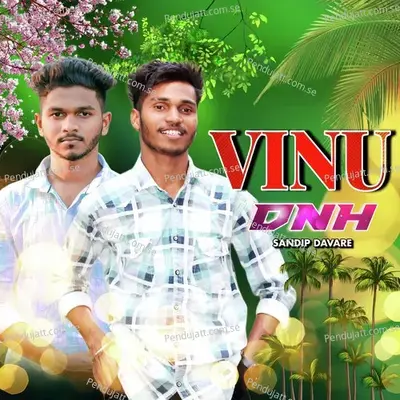 Vinu Dnh - Sandip Davare album cover 