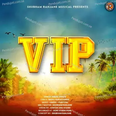 Vip - Rahul Shinde album cover 