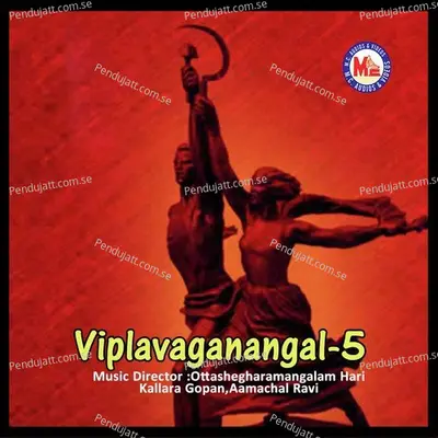 Vikasanam Vimochanam - Kallara Gopan album cover 