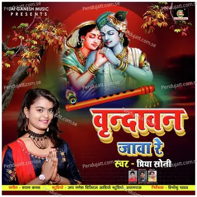 Virndavan Jawa Re - Priya Soni album cover 