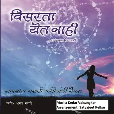 Nako Sakhya Nako Mala - Priyanka Barve album cover 