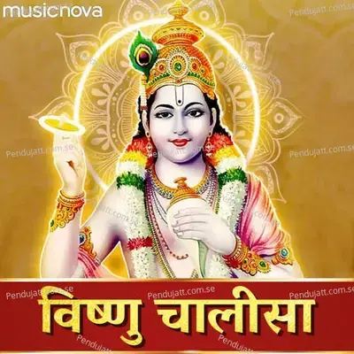 Vishnu Chalisa By Navin Tripathi - Navin Tripathi album cover 