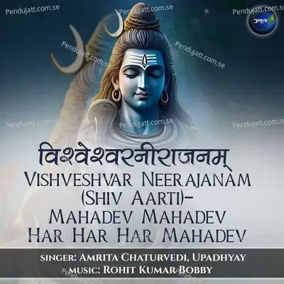 Vishveshvar Neerajanam  -Mahadev Mahadev Har Har Har Mahadev - Amrita Chaturvedi album cover 