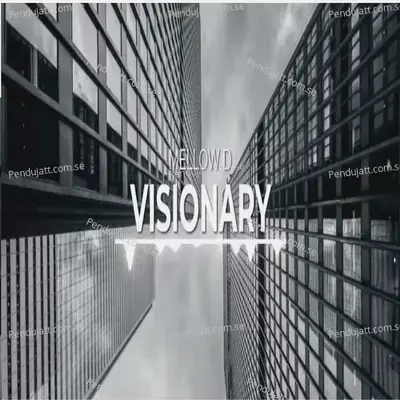 Visionary - Mellow D album cover 