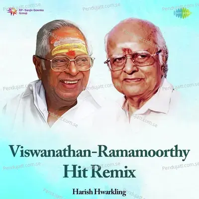 Naan Anaiyittaal - Remix - Harish Hwarkling album cover 