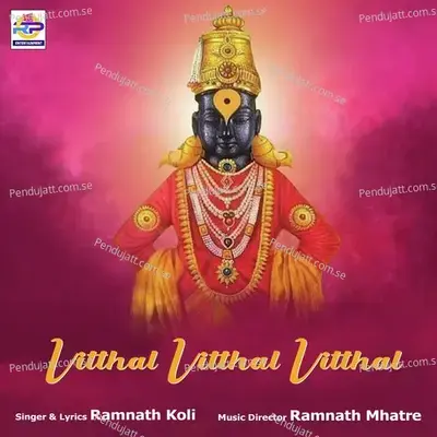 Vitthal Vitthal Vitthal - Ramnath Koli album cover 