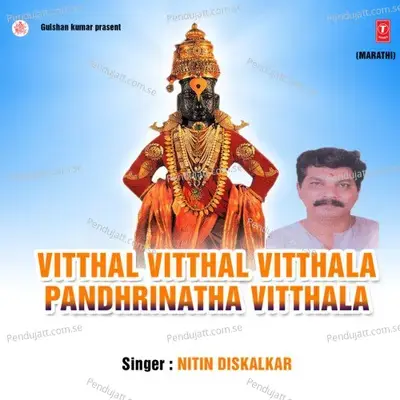 Vithal Vithal Vithla Pandrinatha Vithla - Nitin Diskalkar album cover 