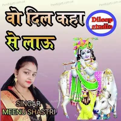 Vo Dil Kaha Se Lau - Meenu Shastri album cover 