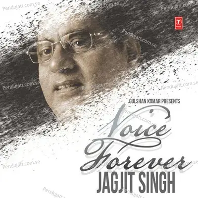 Tum Hamare Nahin - Jagjit Singh album cover 