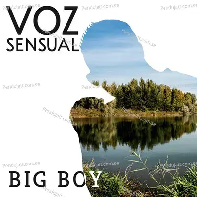 Mis Ojos Lloran Por Ti - Big Boy album cover 