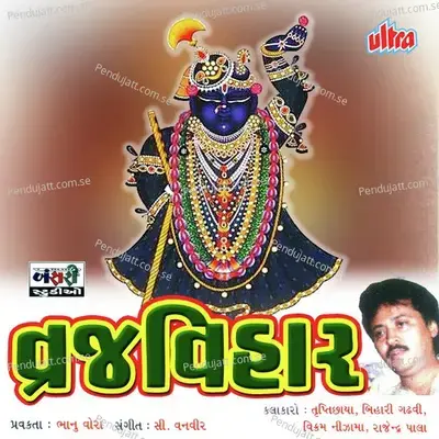 Mane Maru Gokul Yaad Bahu Aave - Trupti Chhaya album cover 