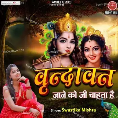 Vrindavan Jane Ko Jee Chahta Hai - SWASTIKA MISHRA album cover 