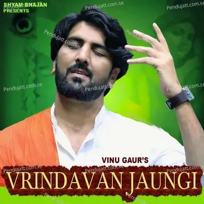 Vrindavan Jaungi - Vinu Gaur album cover 