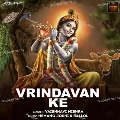 Vrindavan Ke - Vaishnavi Mishra album cover 