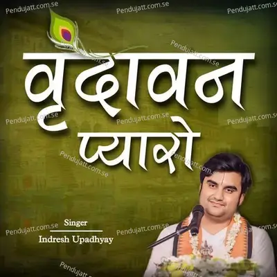 Vrindavan Pyaro - Indresh Upadhyay album cover 