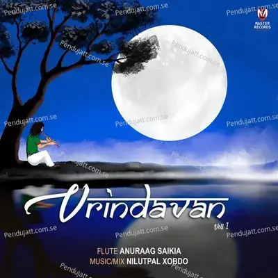 Vrindavan Vol 1 - Anuraag Saikia album cover 