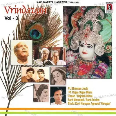 Bhakti Ki Rasna Shyam Naam - Pt. Rajan Sajan Mishra album cover 