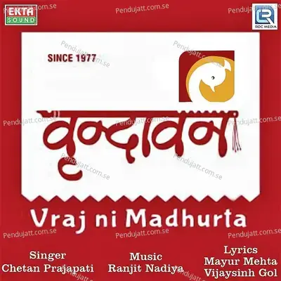 Vrundavan - Chetan Prajapati album cover 