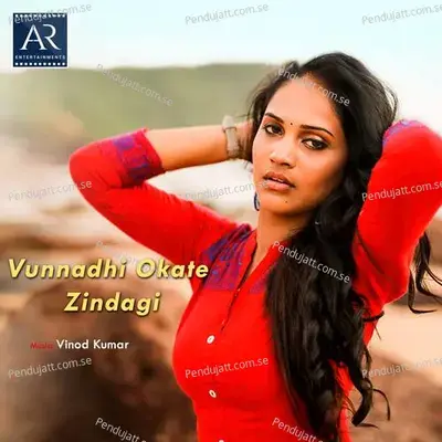 Vunnadhi Okate Zindagi - Vinod Kumar album cover 