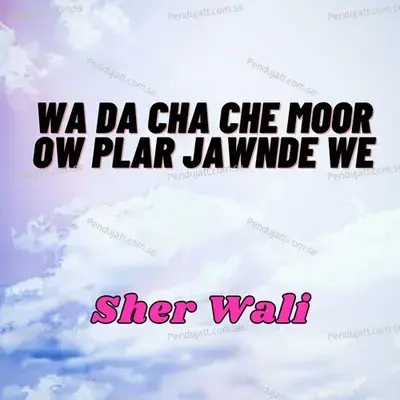 Wa Da Cha Che Moor Ow Plar Jawnde We - Sher Wali album cover 