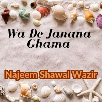 Wa De Janana Ghama - Najeem Shawal Wazir album cover 