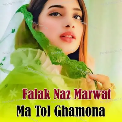 Wa Grana Ashna - Falak Naz Marwat album cover 