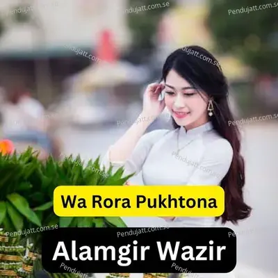 Wa Rora Pukhtona - Alamgir Wazir album cover 