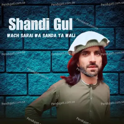 Wach Sarai Wa Sanda Ta Wali - Shandi Gul album cover 