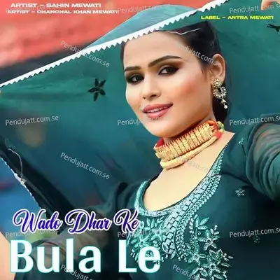 Wado Dhar Ke Bula Le - Sahin Mewati album cover 