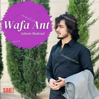 Wakhtak Marera - Saleem Shahzad album cover 