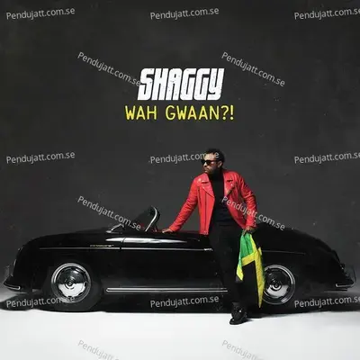 Wrong Room - Shaggy album cover 