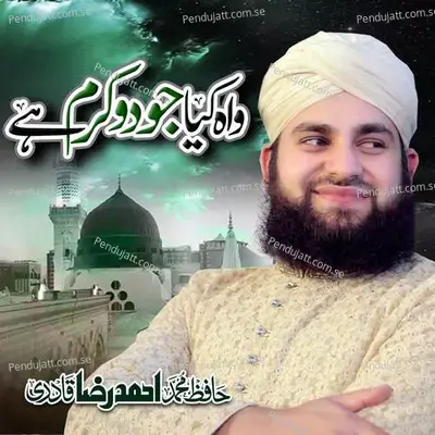 Pukaro Ya Rasool Allah - Hafiz Ahmed Raza Qadri album cover 