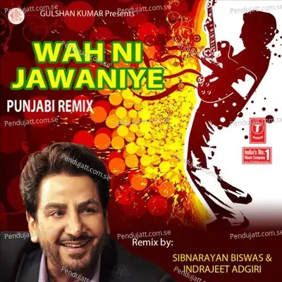 Tera Mera Pyar - Remix - Hans Raj Hans album cover 