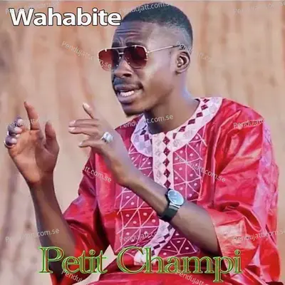 Wahabite - Petit champi album cover 