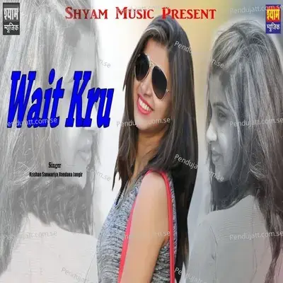 Wait Kru - Krishan Sanwariya album cover 