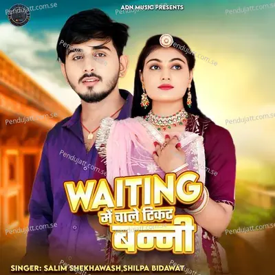 Waiting Me Chale Ticket Banni - Salim Shekhawas album cover 