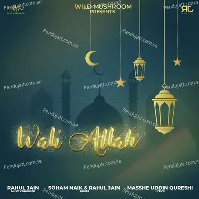Wali Allah - Rahul Jain album cover 