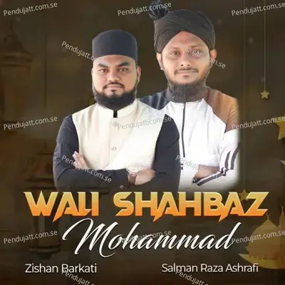 Wali Shahbaz Mohammad - Zishan Barkati album cover 