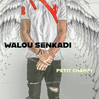 Walid Senkadi - Petit champi album cover 