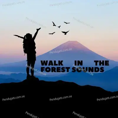 Walk In The Forest Sounds - Lakhan Hire album cover 