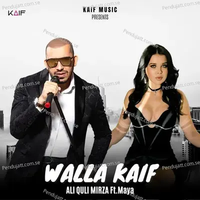 Walla Kaif - Ali Quli Mirza album cover 