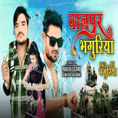 Walpura Bhaguriya - Prakash Solanki album cover 