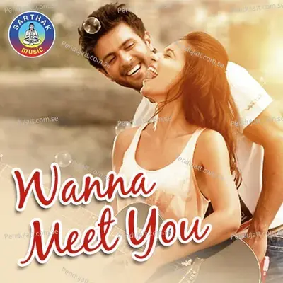 Hallo Wanna Meet You - Shourin Bhatt album cover 