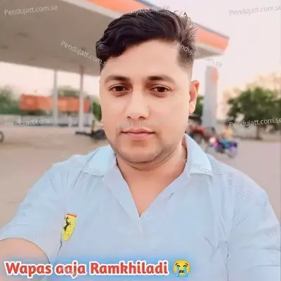 Wapas Aaja Ramkhiladi - Ramkhiladi Meena album cover 