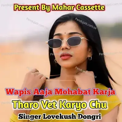 Wapis Aaja Mohabat Karja Tharo Vet Karyo Chu - Lovekush Dungri