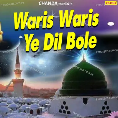 Chand Taaron Se Saja Hai - Anwar Jani album cover 